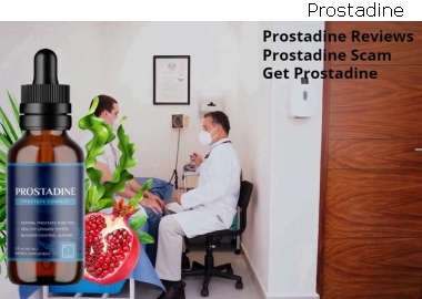 Prostadine For The Prostate